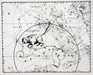 the-constellation-bear-ursa-minor